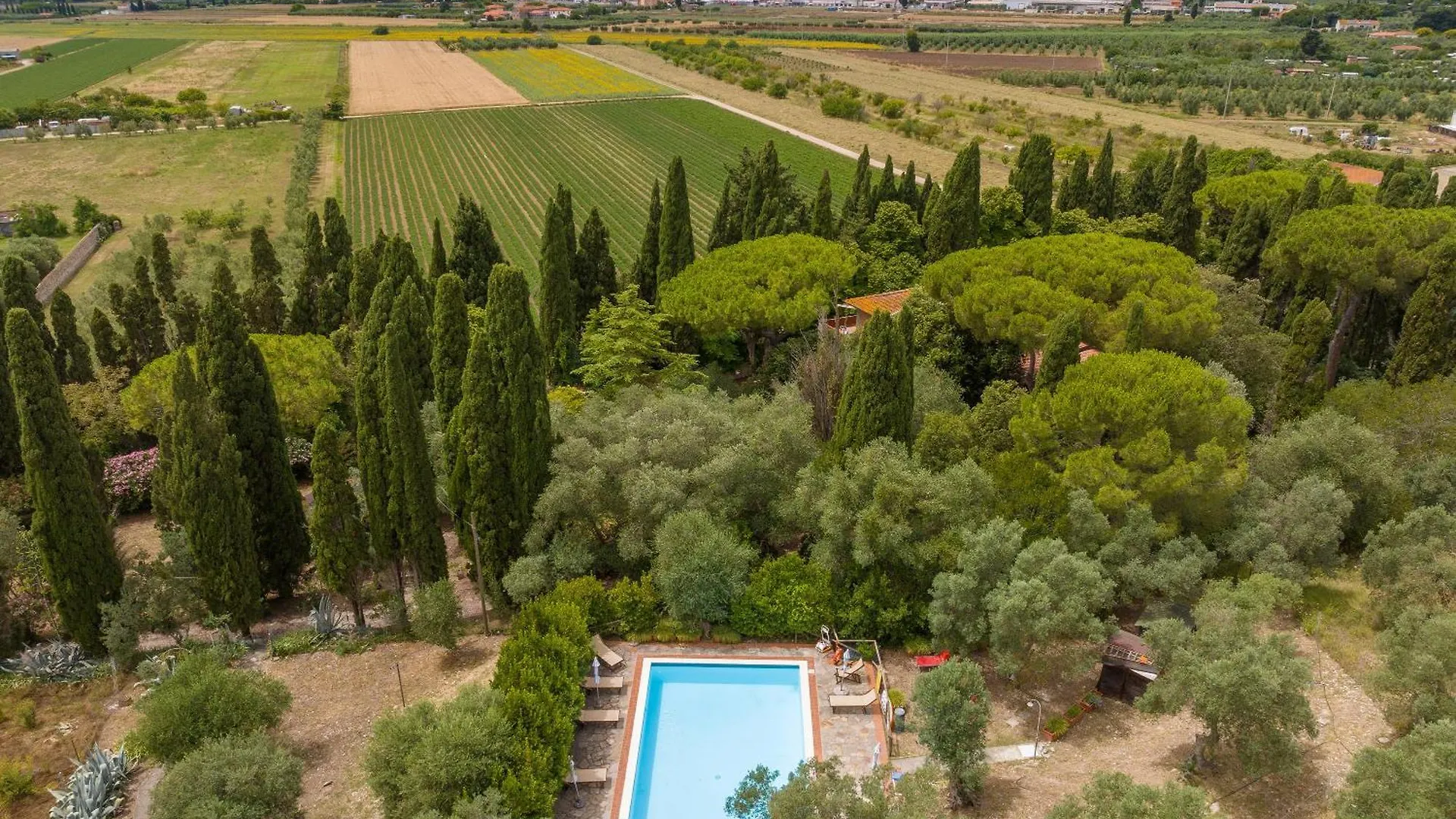 Lägenhet Villa I Tigli Campiglia Marittima