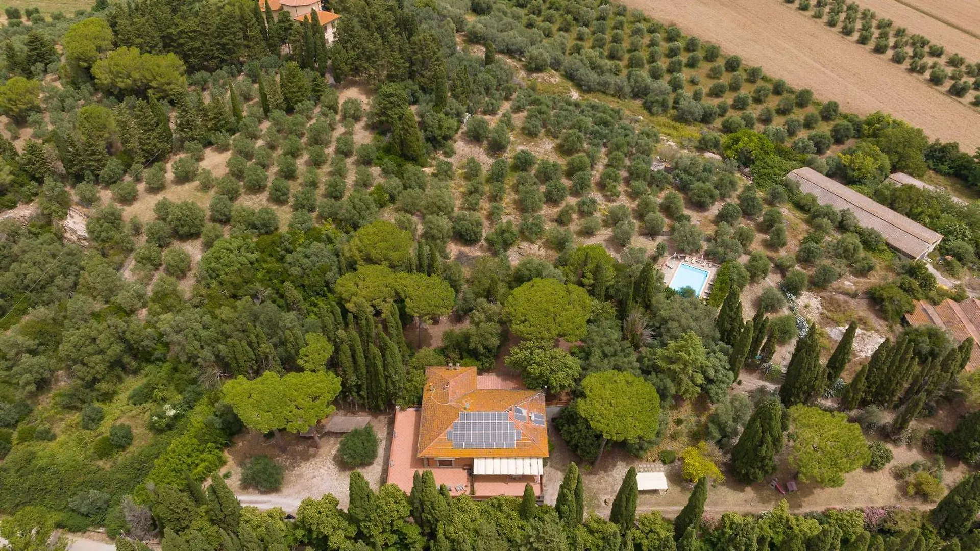Lägenhet Villa I Tigli Campiglia Marittima Italien