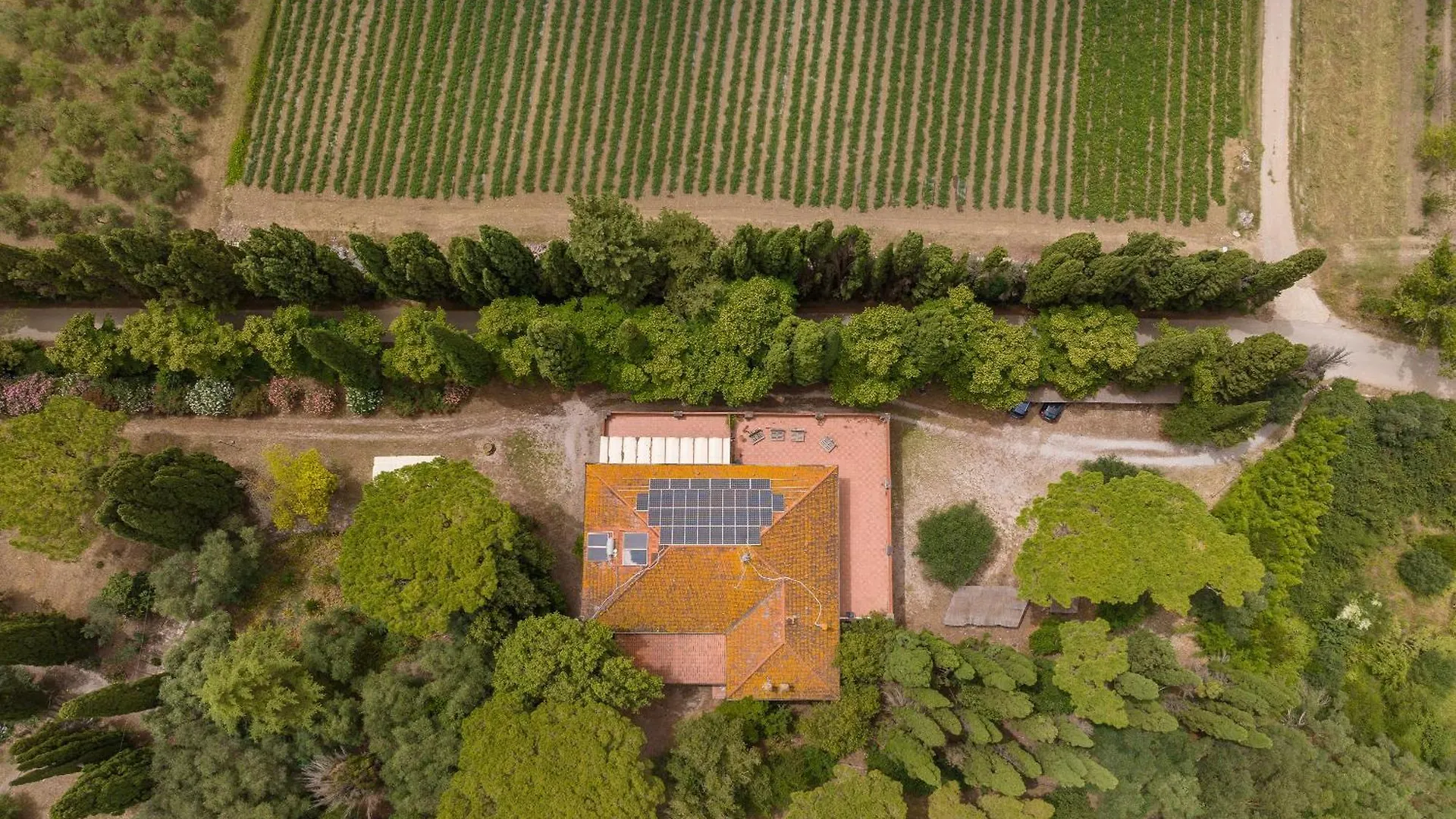 Lägenhet Villa I Tigli Campiglia Marittima