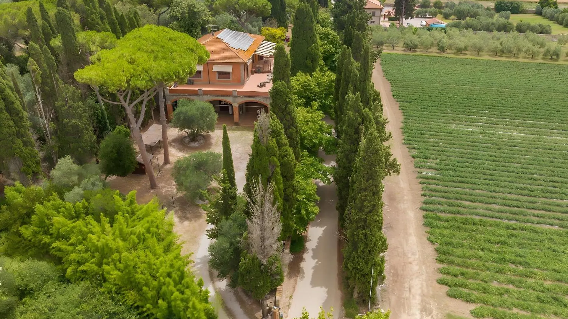 Villa I Tigli Campiglia Marittima Lägenhet